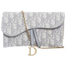 Dior Small Saddle Pouch With Chain Gray Dior