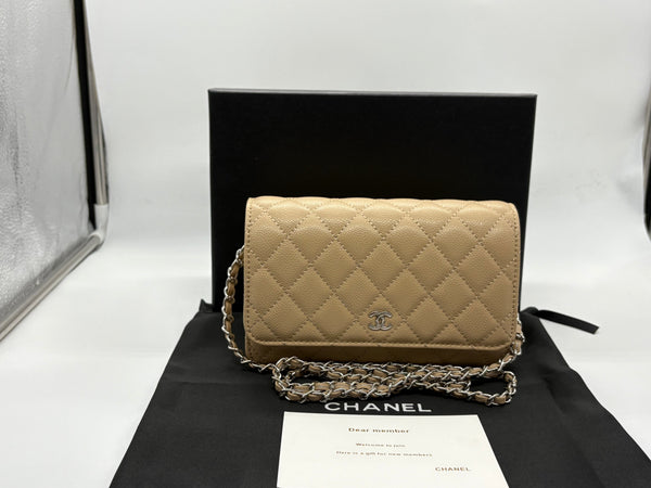 Chanel Quilted Classic Flap Handbag