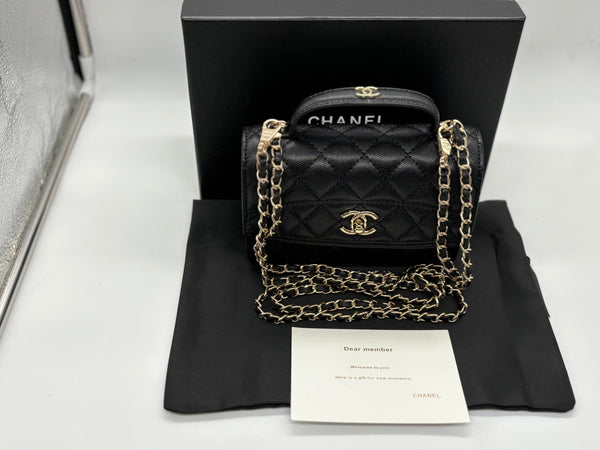 Chanel Quilted Leather Handbag with Gold Chain (6)